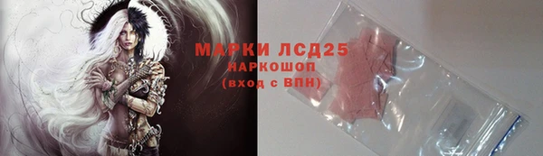 индика Алексин