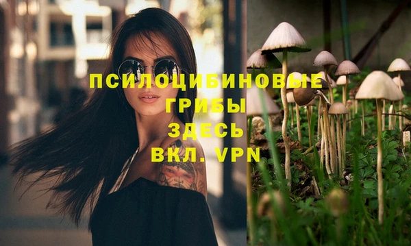 ПСИЛОЦИБИНОВЫЕ ГРИБЫ Абаза