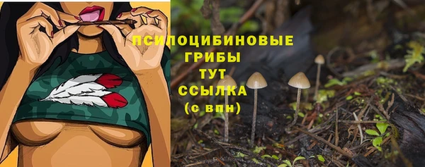 спайс Абинск