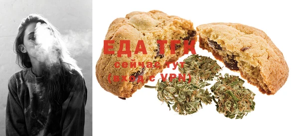 индика Алексин