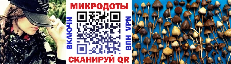 цены   Ржев  Псилоцибиновые грибы Psilocybine cubensis 