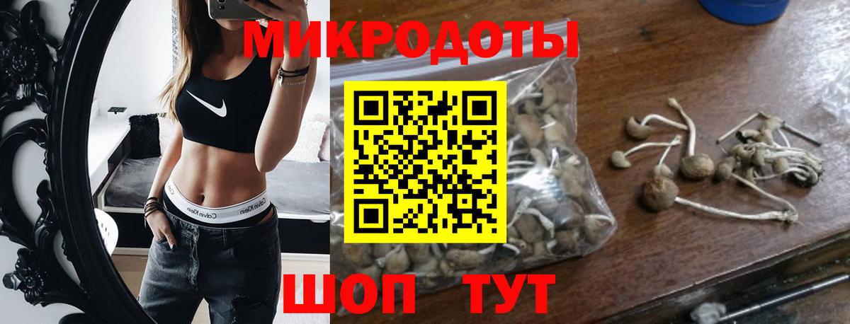Псилоцибиновые грибы мицелий Ржев